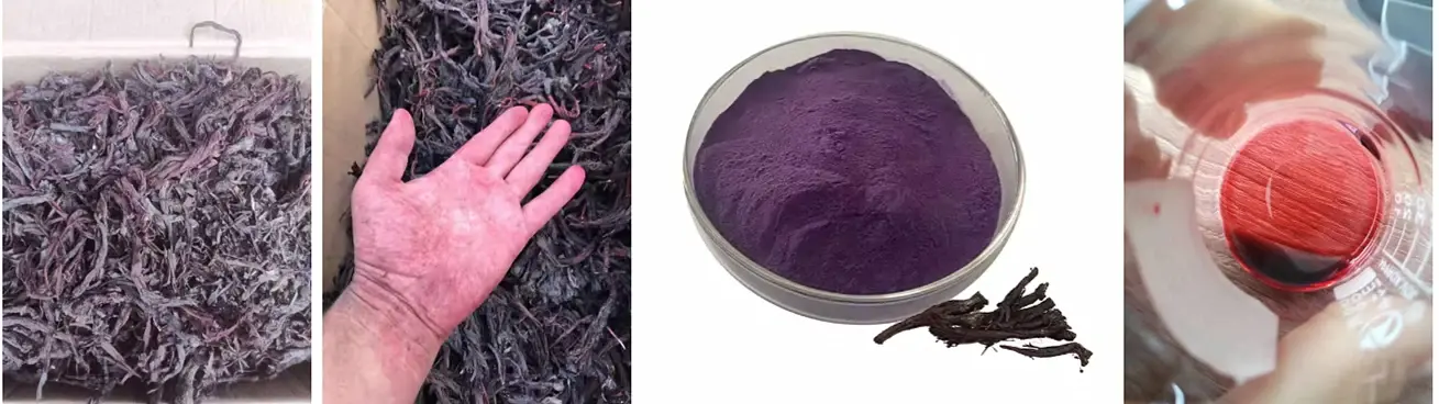 Purple high quality Shikonin Powder (2)(1).webp